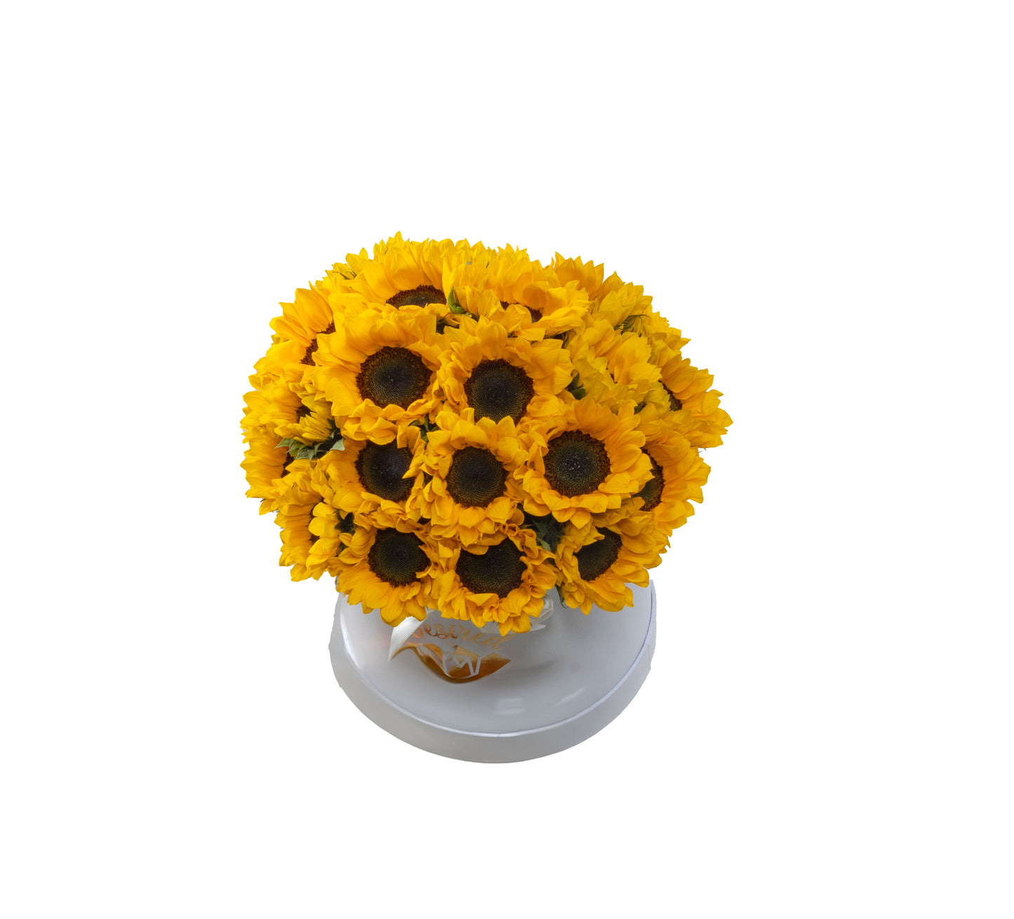 BOX SUNFLOWERS