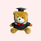 TEDDY GRADUADO